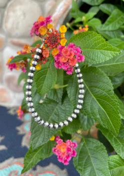 Desert Navajo Pearl Bracelet -The Ranch House Sales BB92774A 69B2 4FC3 83C5 A79EC26BF20B 1 105 c