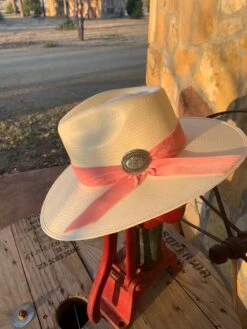 Charlie 1 Horse Only Prettier Hat