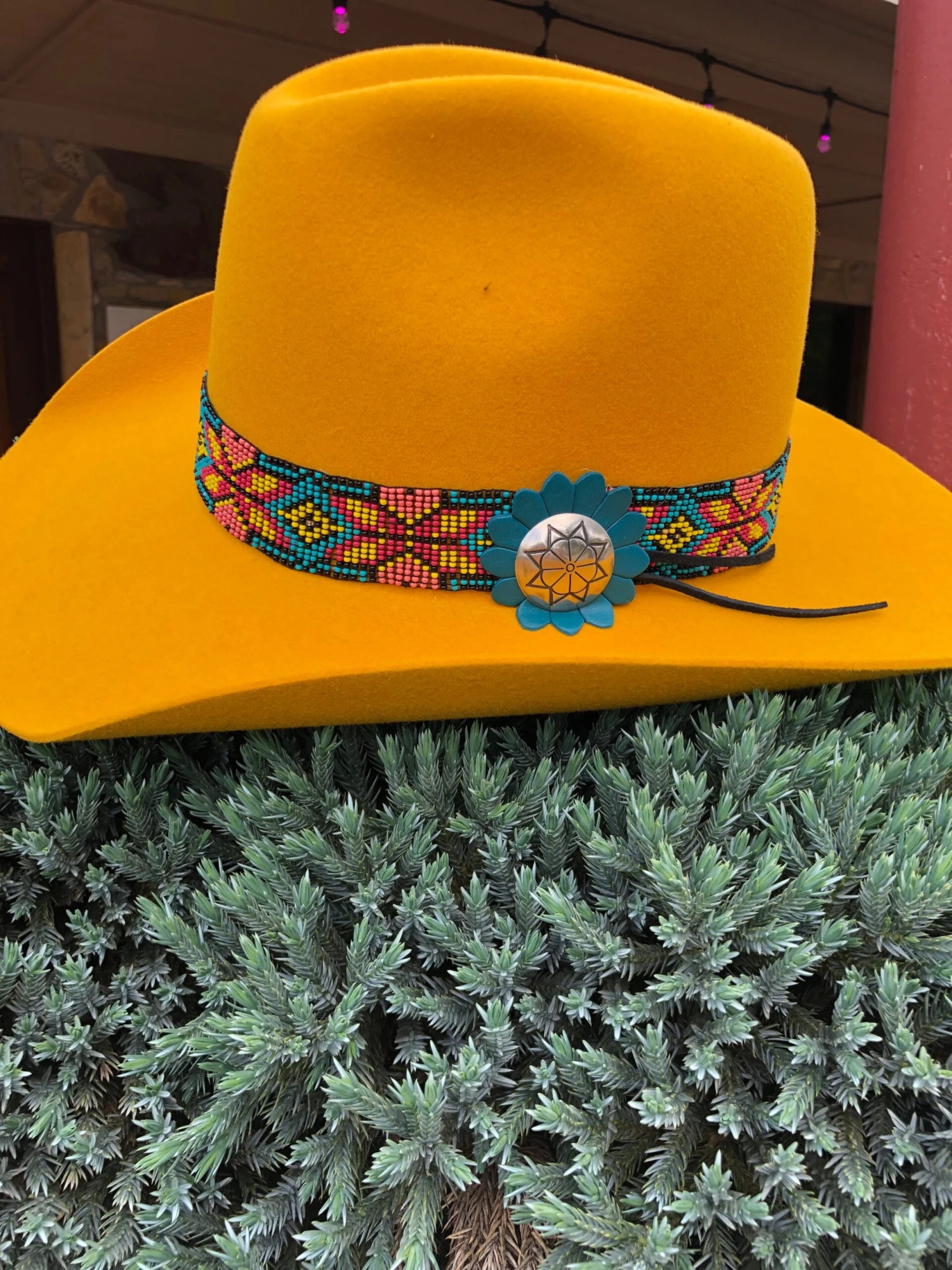 Charlie 1 Horse - Gold Digger Yellow Belly 2 Charlie 1 Horse - Gold Digger Yellow Belly - Image 2