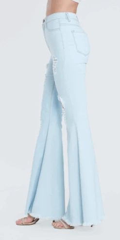 Stevie Nicks Bells 6 Stevie Nicks Bells -The Ranch House Sales ScreenShot2020 05 26at2.56.33PM