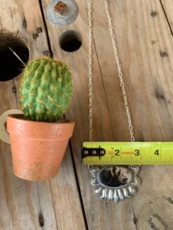 Ring Of Fire Squash Set 25 Ring Of Fire Squash Set -The Ranch House Sales image 10eafea8 3c9b 419c 996d 171c8166276f 1