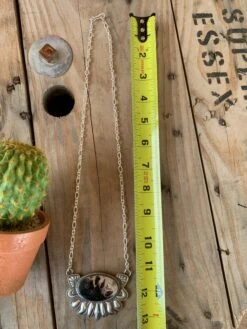 Ring Of Fire Squash Set 27 Ring Of Fire Squash Set -The Ranch House Sales image 375ad9ee 176c 486d b26f 0725972176a4 1