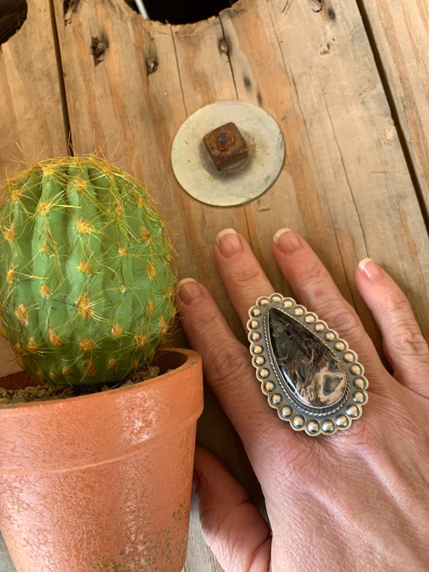 Ring Of Fire Squash Set 10 Ring Of Fire Squash Set - Image 10