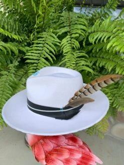 Shag & Gunn Hat Collection 29 Shag & Gunn Hat Collection -The Ranch House Sales image d990bc35 17c6 4cf5 b65e b146be078c71 1