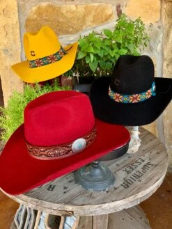 Charlie 1 Horse Gold Digger In Black